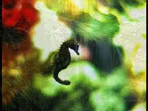 Allahu As subuhu bada min Qari Waheed Zafar