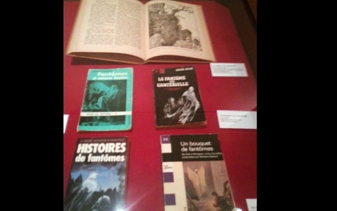 Expo_ lanternes magiques -SD (480p)_2