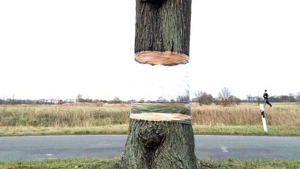 Illusion Painting by Daniel Siering and Mario Shu