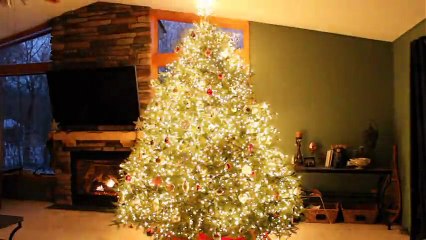 Le plus beau sapin de Noël 2014