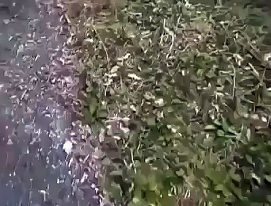 Unbelieveable UFO spotted
