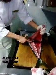 The dead fish were alive a very interesting event