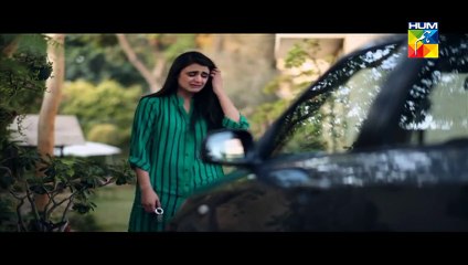 Firaaq Last Episode Full HUM TV Drama Dec 28, 2014
