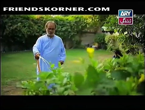 Na Katro Pankh Meray Episode 8 on Ary Zindagi in High Quality 28th December 2014 - DramasOnline