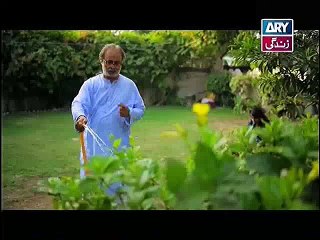Na Kutro Pankh Meray Episode 8 Full on Ary Zindagi 28th December 2014