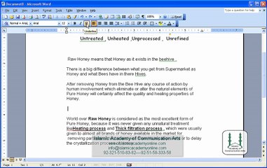 Free MS Word 2003 Training in Urdu- IACA (22)