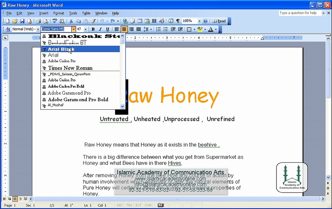 Free MS Word 2003 Training in Urdu- IACA (23)