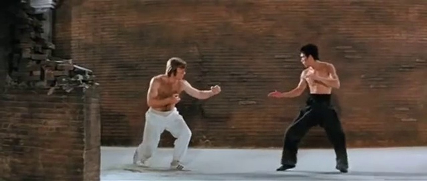Bruce Lee vs Chuck Norris