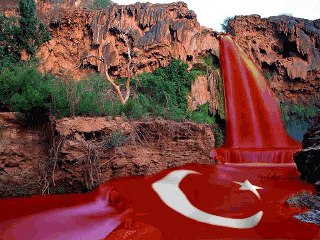 MEHMET AKİF ERSOY'U ANMAK .A.A