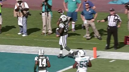 Chris Ivory 8-yard touchdown reception
