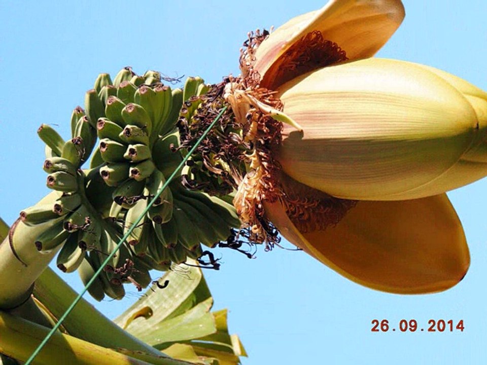 2014 l'année des amis de jacky...