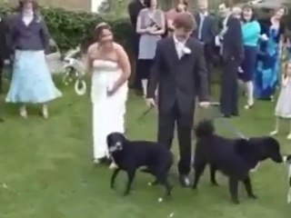 FAIL : Voici une compilation des plus beaux mariages foireux !