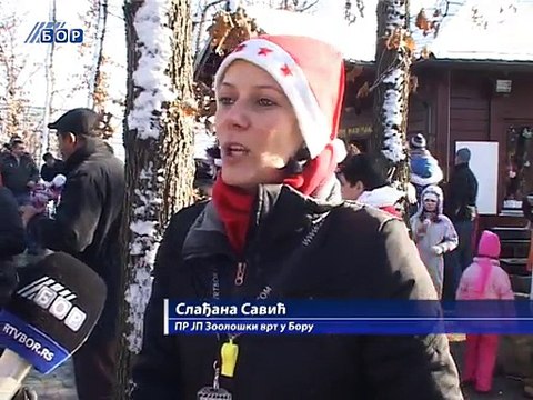 Raste broj posetilaca ZOO Vrta, 28. decembar 2014. (RTV Bor)