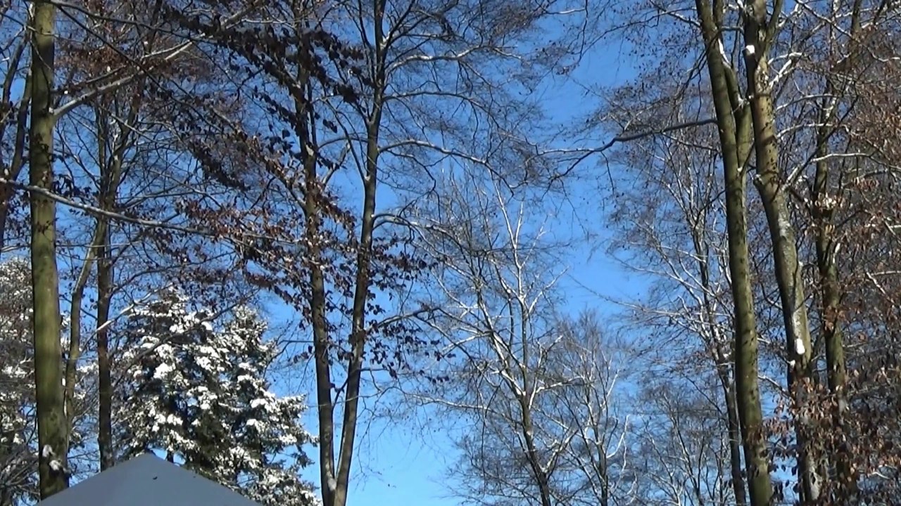 Schneewanderung zu den Sieben Fichten