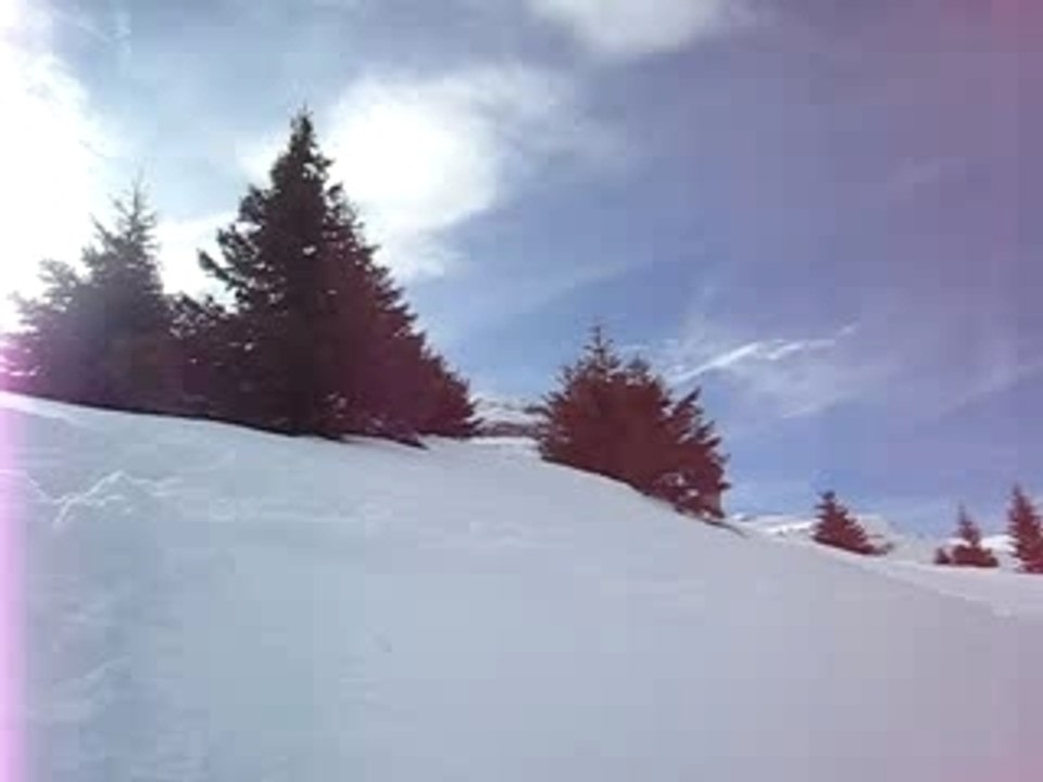 MVI_0823