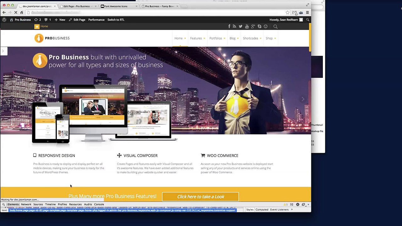 Wordpress Tutorial, Visual Composer, Shortcodes - Fancy Boxes