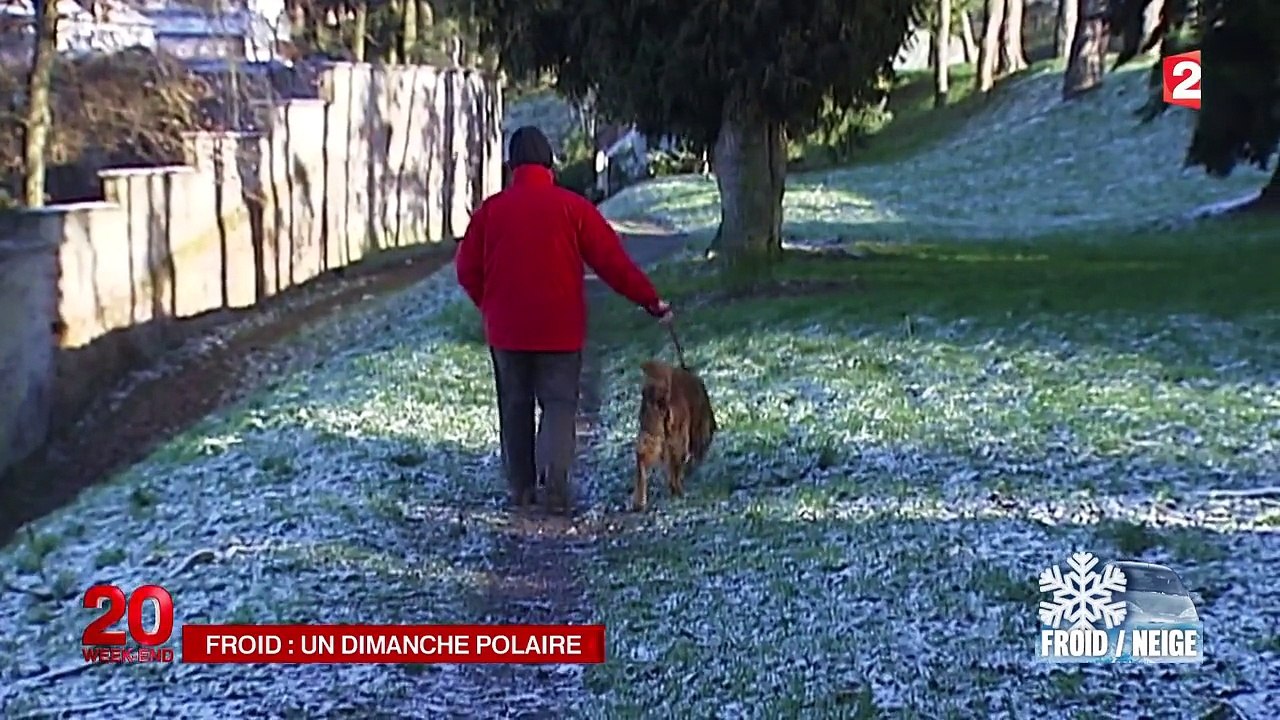 Froid : un dimanche polaire