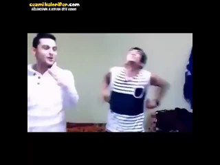 Arabesk Rapa Maruz Kalan Kedi