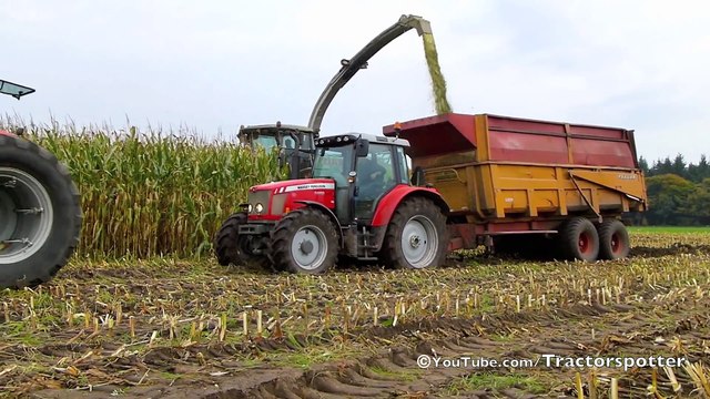 Mais hakselen Van Bakel Dairy 2013 - Jaguar 980, MF 8690, MF 7624, MF 7495,
