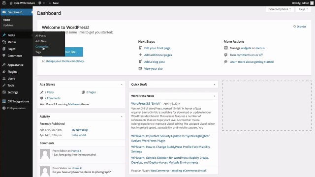 How to Create Categories and Tags in WordPress
