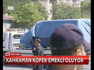 300 Kilo Bombayı bulup Ankara'yı kurtaran Kahraman Köpek emekli oldu