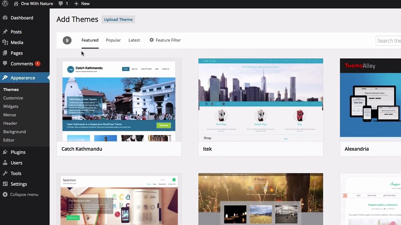 How to Install a Theme in WordPress