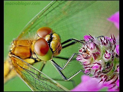 Bangla Islamic Songs and Gojol 2015 - Tumi Lahuter Mehman - Bangla Islamic Gazal