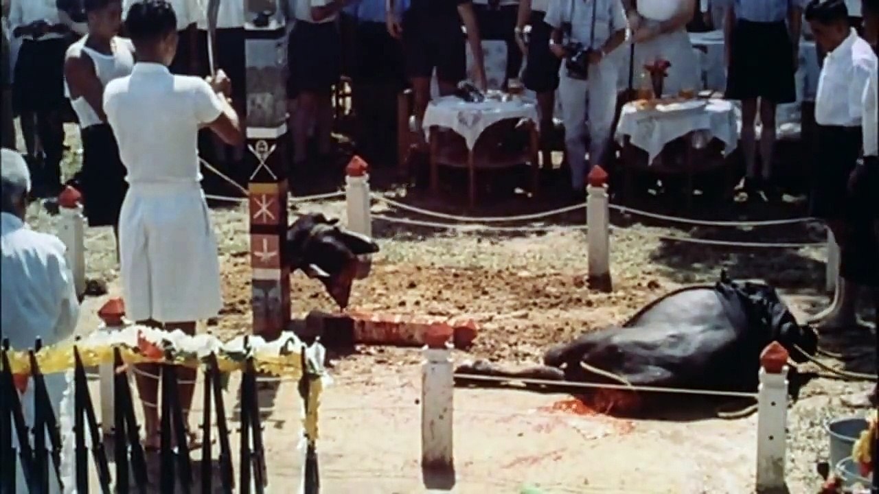 Mondo Cane (1962) - Trailer
