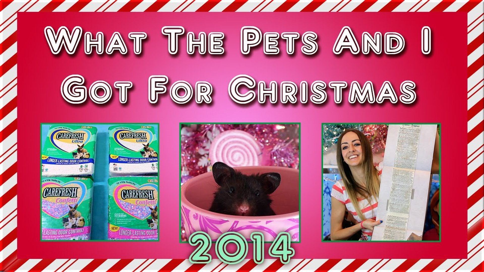 ⁣❄ What the pets (and I) got for Christmas 2014 ❄