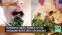 Barf! Danny Grace bought pre-packaged M&S creamed spinach and got the crunchiest shock of his life!.