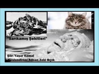 Sarıkamış Şehitleri (Kedi)-Adnan Zeki Bıyık