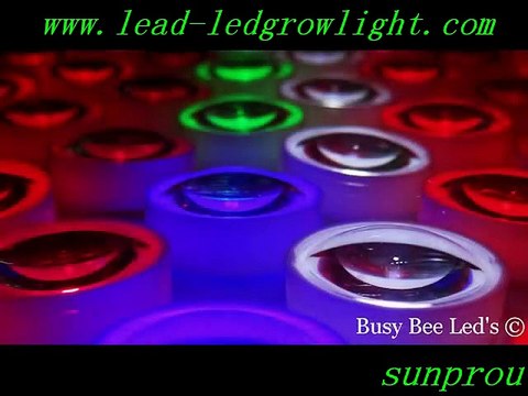 what are the best led grow lights