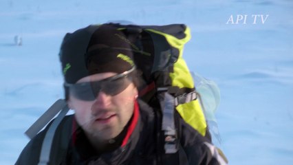 Новый год. Любовь и ёлки