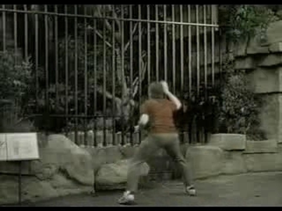 Humour pub biere bud avec singe