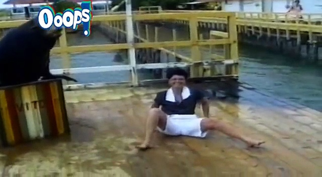 Ultimate Funny Fails Compilation