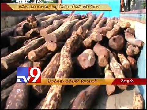 Police cumbing in forests for red sanders smugglers