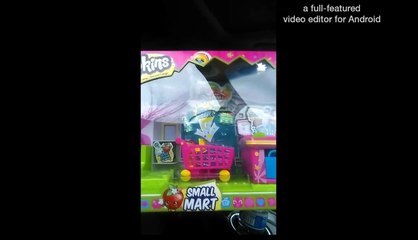 Toy hunt my little pony,shopkins ,blind bags