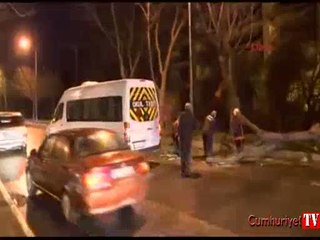 Lodos ağaç devirdi, deniz seferlerini iptal ettirdi