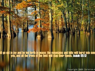 هايدى منتصر - لحد امتى