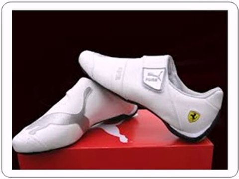 Puma Cat Adding Style with Comfort for the