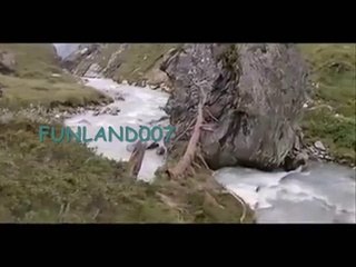 Allah can save anyone