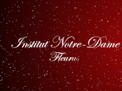 IND Fleurus - Voeux 2015