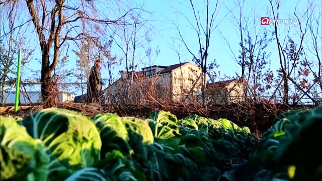 Arirang Special M30Ep304C4 Master Han Sun-ja is known as one of the best kimchi picklers in the country