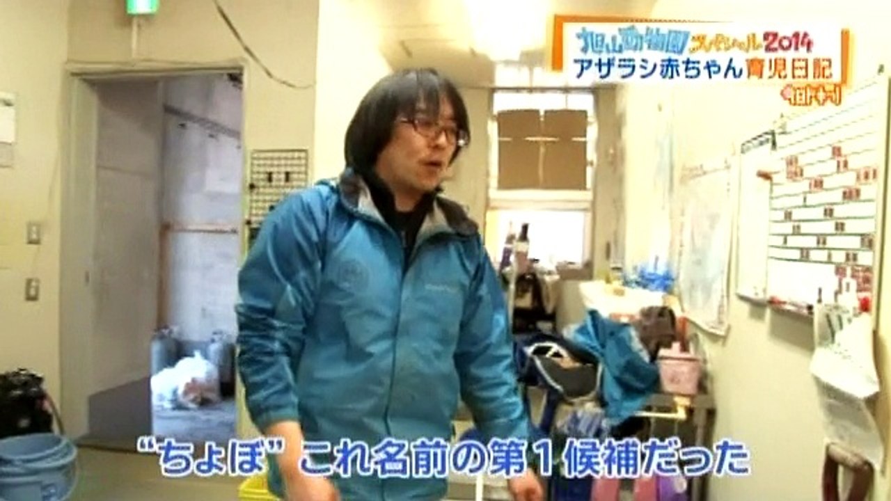 今日ドキッ!「旭山動物園スペシャル2014」