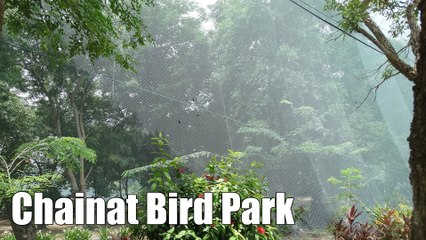 Chainat Bird Park