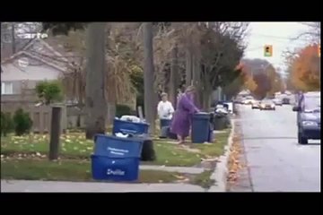 Documentaire sur les corbeaux