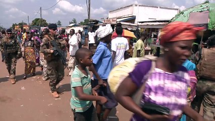 Opération Sangaris : Un an d'existence