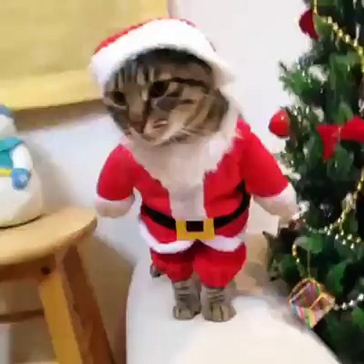 punjabi santa so cute