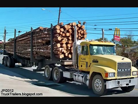 New Zealand cricket captain Chris Cairns became truck driver after match fixing