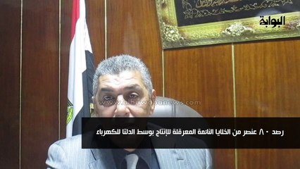 رصد 80 عنصر من الخلايا النائمة المعرقلة للإنتاج بوسط الدلتا للكهرباء